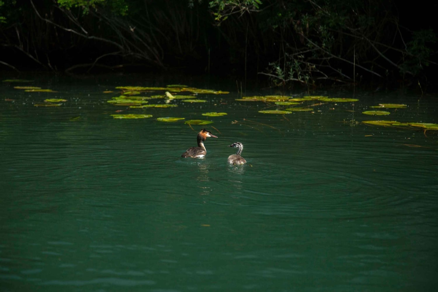 Private morning tour with refreshments and hidden canals!