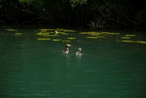 Private morning tour with refreshments and hidden canals!