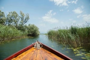 Private morning tour with refreshments and hidden canals!