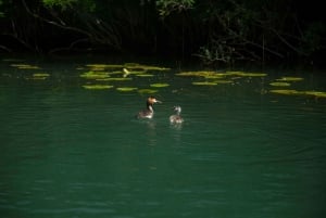 Private morning tour with refreshments and hidden canals!