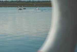 Private morning tour with refreshments and hidden canals!