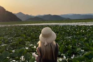 Private Skadar lake tour with guide, snacks and drinks