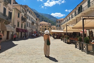 Private Speedboat Guided Kotor Bay with Food & Wine
