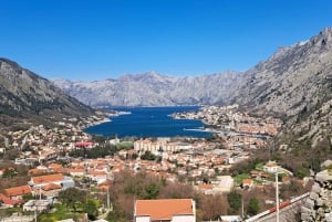 Private tour to Montenegro, Perast, Kotor and Budva