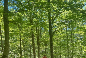 Prokletije: Volušnica Tour Hike with Local Guide