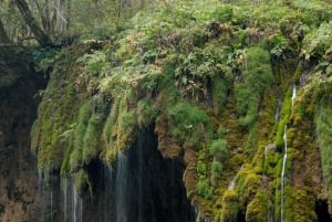 RAFTING Experience the adrenaline rush!