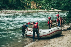 From Kotor: Whitewater Rafting Tour on Tara River with Meal