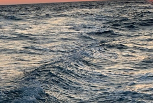 Regina Boat Tours: The hidden gems of the Southern Riviera