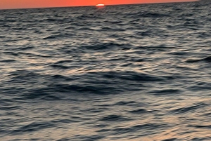 Regina Boat Tours: The hidden gems of the Southern Riviera