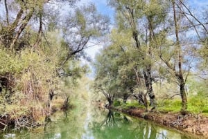 Lake Skadar: Exclusive Adventure with Local Captain Vasilije