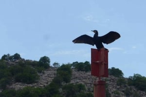 Lake Skadar: Exclusive Adventure with Local Captain Vasilije