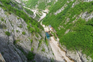 River Tara Rafting in Montenegro: Full-Day from Dubrovnik
