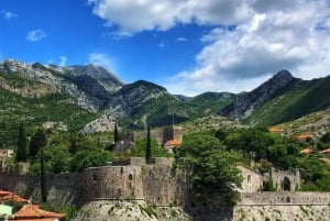 Secrets of the Old Town Bar - A Journey through Millennia