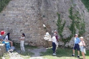 Secrets of the Old Town Bar - A Journey through Millennia