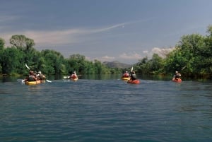 Skadar Lake: 4-Hour Guided tours on Kayak