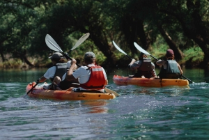 Skadar Lake: 4-Hour Guided tours on Kayak