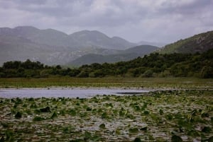 Skadar Lake: 4-Hour Guided tours on Kayak