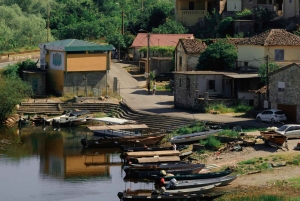 Skadar Lake: 4-Hour Guided tours on Kayak
