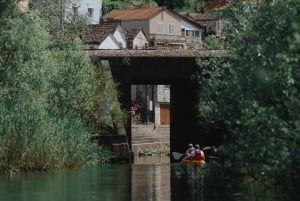 Skadar Lake: 4-Hour Guided tours on Kayak