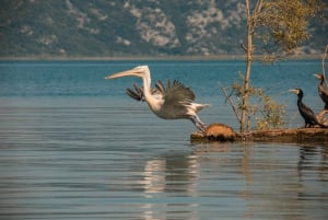 SKADAR LAKE: A national park with amazing flora and fauna!