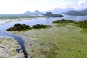 SKADAR LAKE: A national park with amazing flora and fauna!