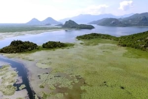 SKADAR LAKE: A national park with amazing flora and fauna!