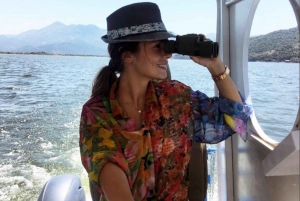 Skadar lake: Birdwatching boat tour