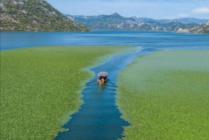 Lake Skadar: Guided Sightseeing Boat Tour with Refreshments