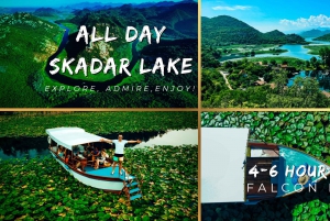 Skadar Lake Boat Tour - All day