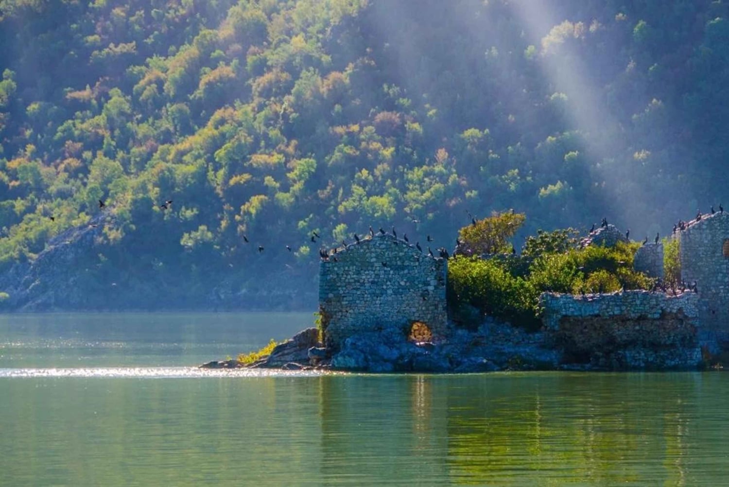 Skadar Lake Boat Tour with Transfer from Podgorica