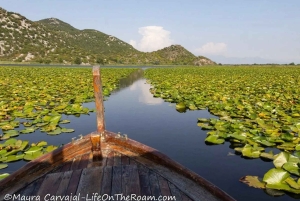 Skadar Lake Boat Tour with Transfer from Podgorica
