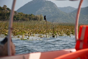 Skadar lake cruise, sightseeing from the boat with refreshme
