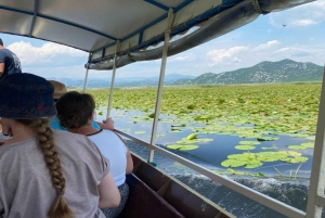 Skadar Lake: Discover the Extraordinary with Our Boat Tours