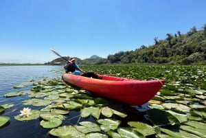 ༄ Skadar Lake: Guided tour on Kayak or Paddle board