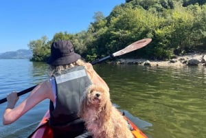 ༄ Skadar Lake: Guided tour on Kayak or Paddle board