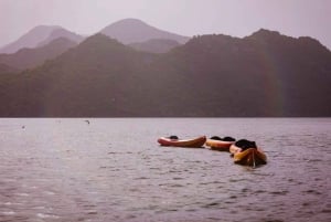 ༄ Skadar Lake: Guided tour on Kayak or Paddle board