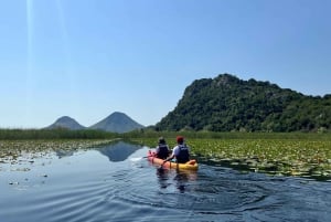 ༄ Skadar Lake: Guided tour on Kayak or Paddle board