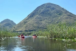 ༄ Skadar Lake: Guided tour on Kayak or Paddle board