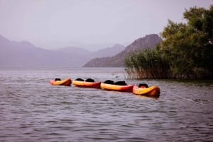 ༄ Skadar Lake: Guided tour on Kayak or Paddle board