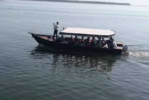 Skadar Lake: half-day boat tour (from Podgorica)