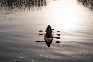 Skadar Lake: individual kayaking experience