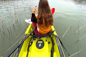 Skadar Lake: individual kayaking experience