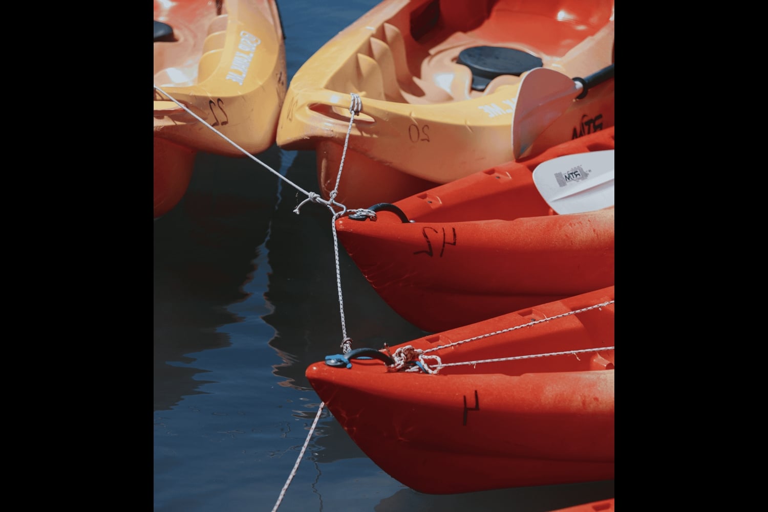 Skadar Lake: Kayak & Paddle board Rental