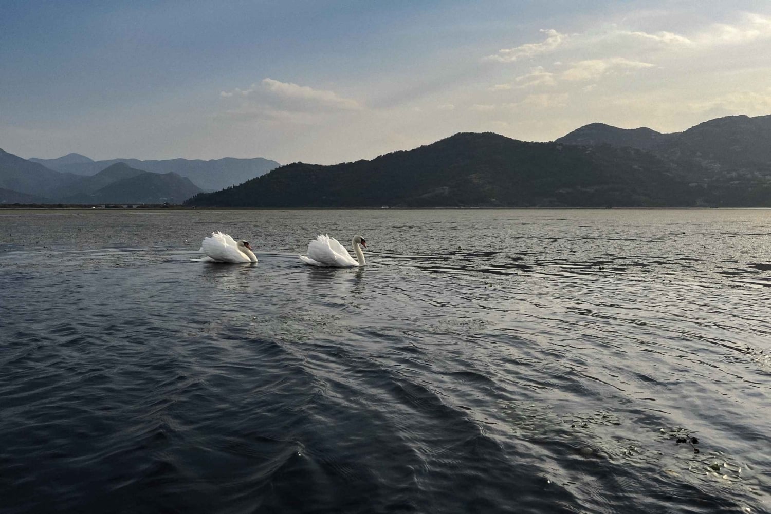 Skadar Lake: Kayak & Paddle board Rental