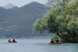 Skadar Lake: Kayak & Paddle board Rental