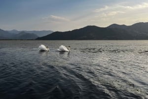 Skadar Lake: Kayak & Paddle board Rental