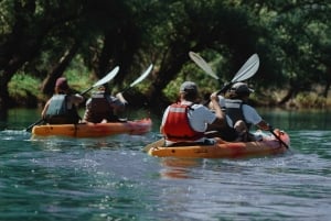 Skadar Lake: Kayak & Paddle board Rental
