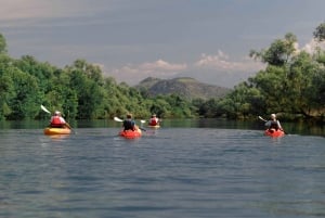 Skadar Lake: Kayak & Paddle board Rental