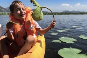 Skadar Lake: Kayak & Paddle board Rental
