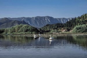 Skadar Lake: Kayak & Paddle board Rental